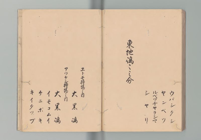 松前島郷帳 - ページ 43