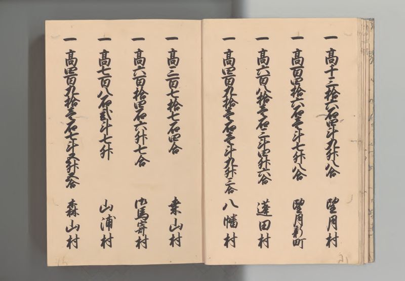 信濃国郷帳 - ページ 10