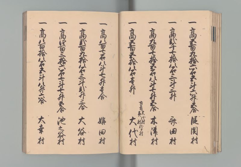 阿波国郷帳 - ページ 20