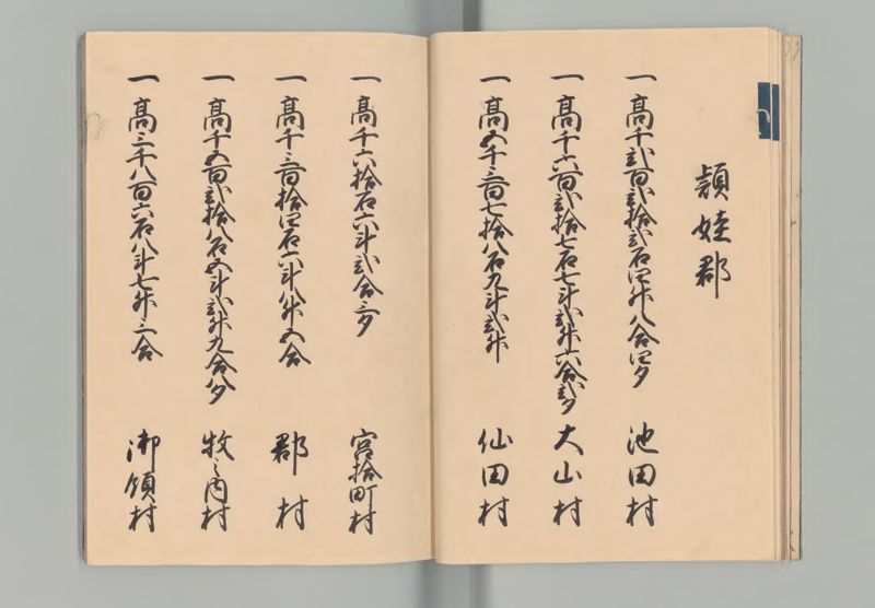 薩摩国郷帳 - ページ 11